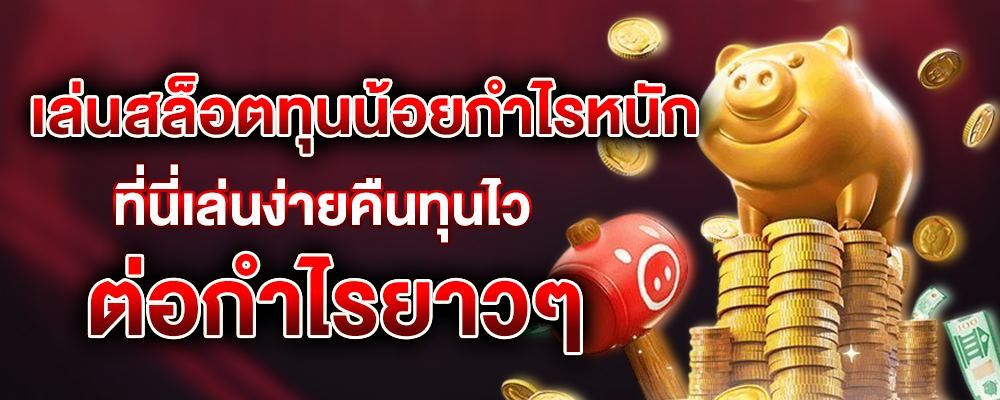 ทุนน้อยกำไรหนัก